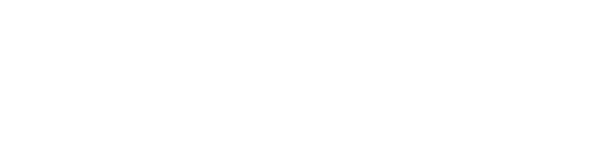 Southeasttime Logo
