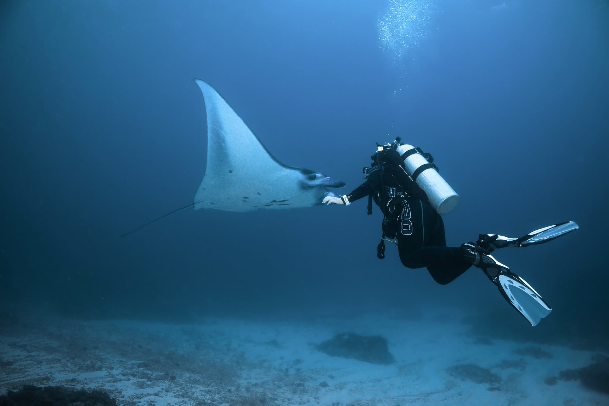 Luxury Yacht Charter Background